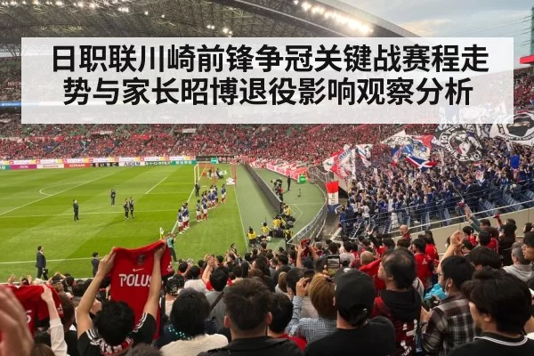 J League stadium crowd